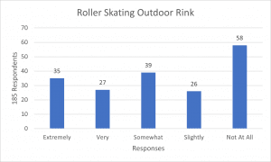 Roller Skating Outdoor Rink